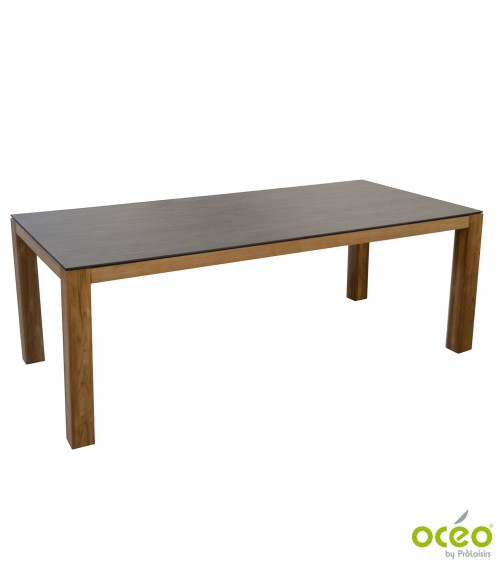 TopIdea Housse Salon de Jardin 200x100x75cm Housse de Table Jardin