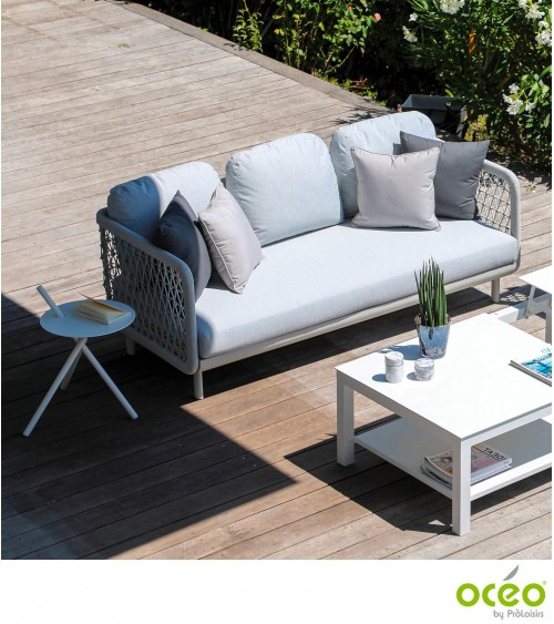 Canapé 3 places CLUB Coloris:Châssis Light-grey/Assise Coussin Light-grey Eco-participation    :Prix de vente comprenant l' éco-